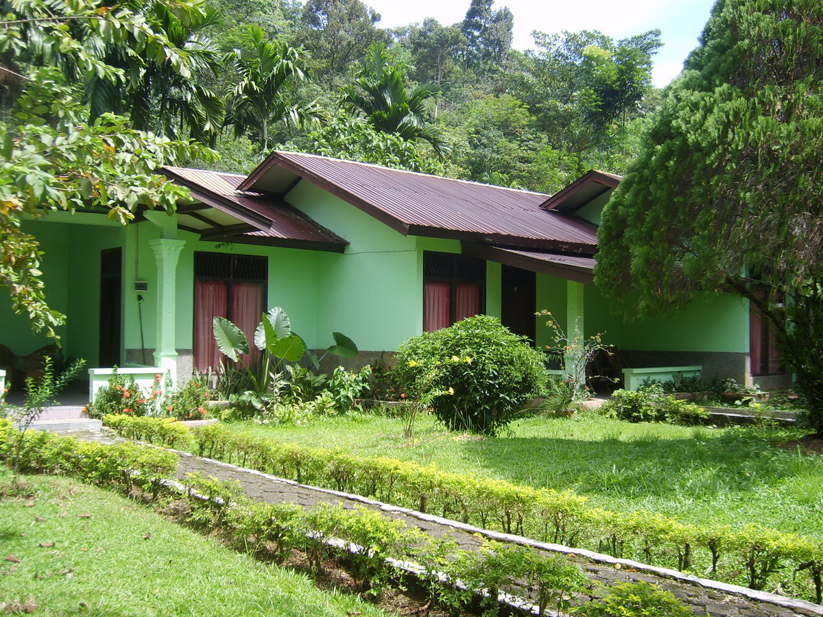 Ecolodge 02