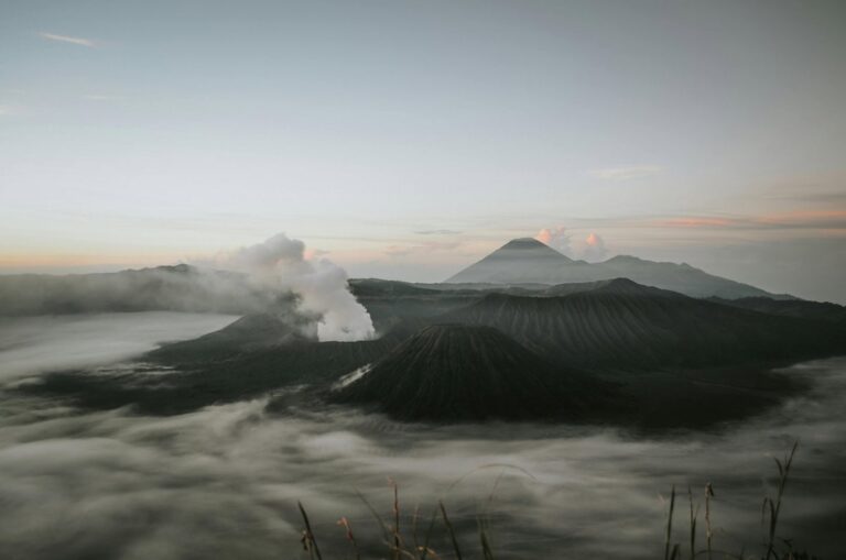 Artikel 15 Bromo