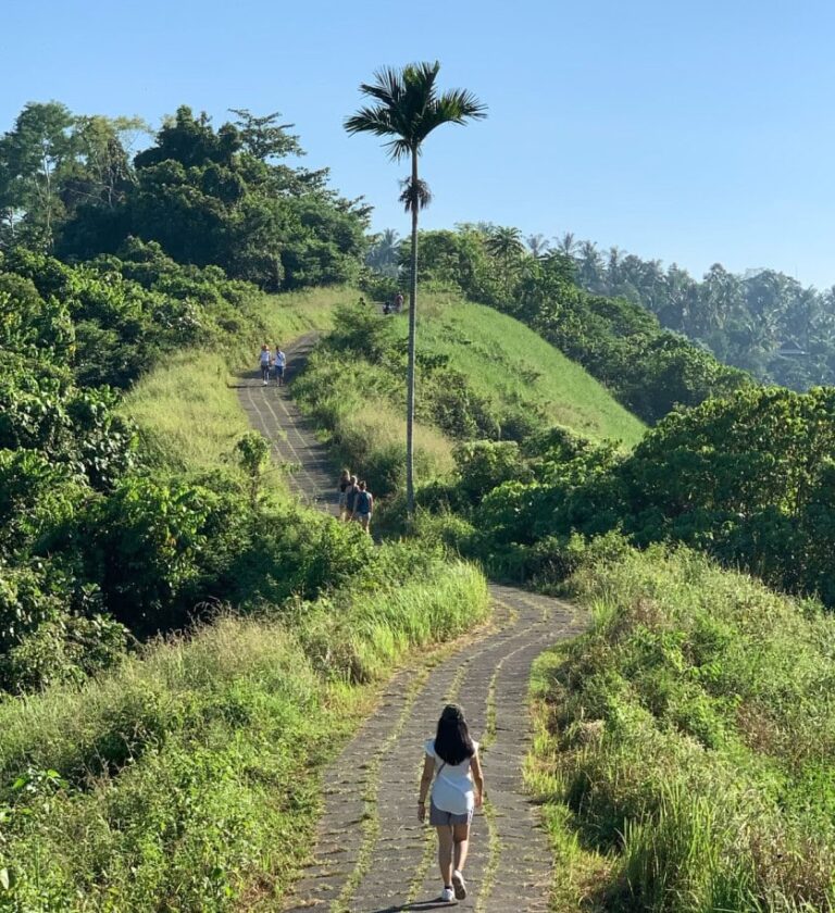 Blog 28 campuhan ridge walk