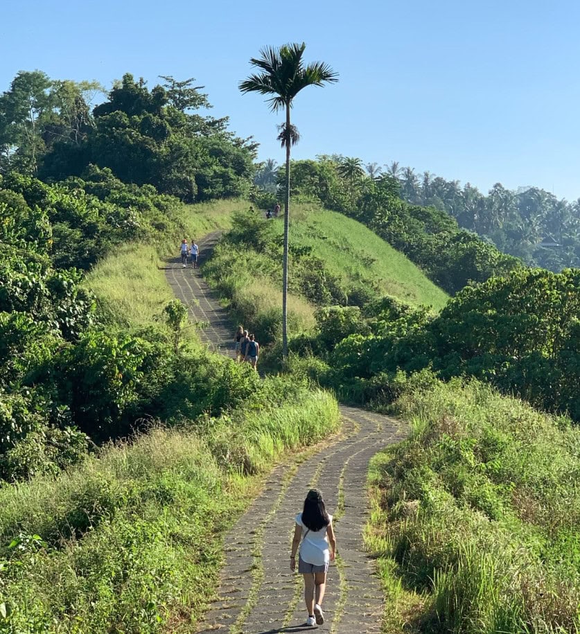 Blog 28 campuhan ridge walk