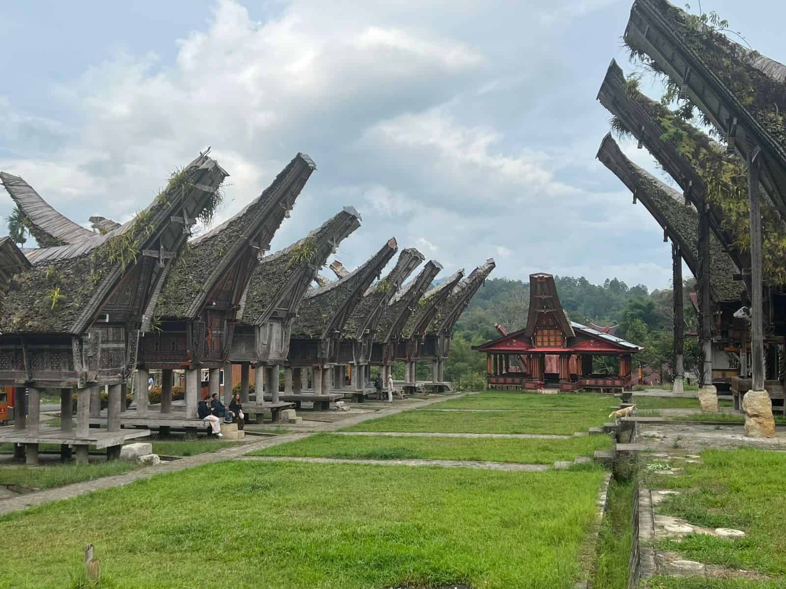 tana toraja