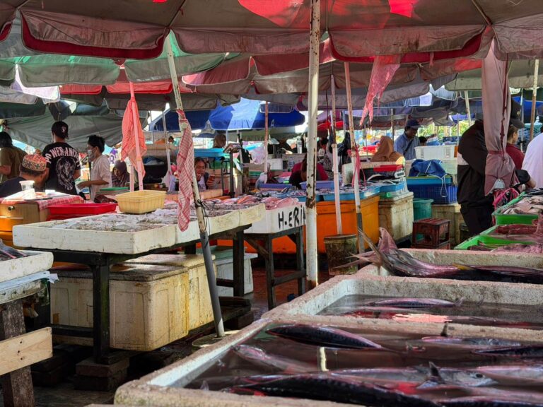 Article 41 marche de kedonganan