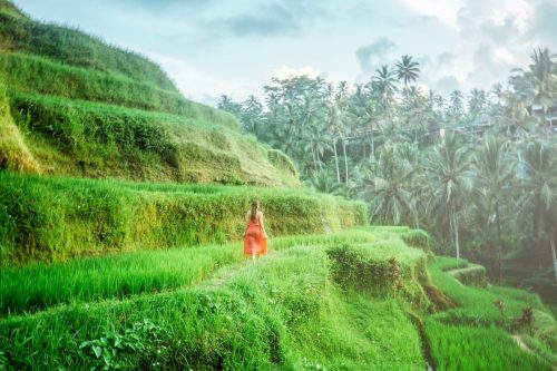 ubud ubud